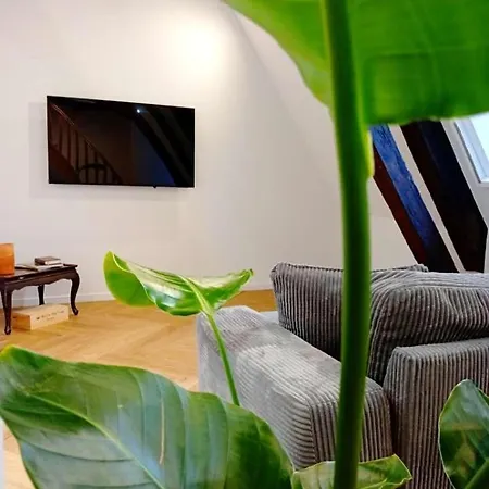 Lemullier De Bressey - Particulier Au Coeur De Appartement