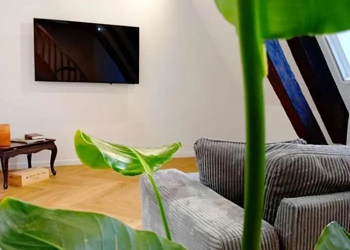 Lemullier De Bressey - Particulier Au Coeur De Lejlighed