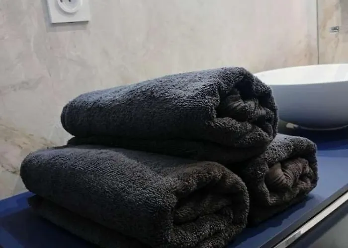 Lemullier De Bressey - Particulier Au Coeur De Appartement Dijon