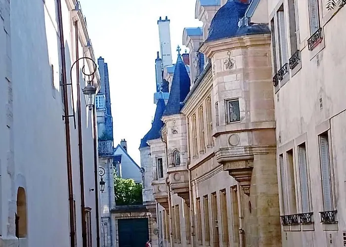 Lemullier De Bressey - Particulier Au Coeur De Dijon